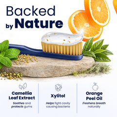 Royal Denta toothbrush with jeju toothpaste explaining features of the product and natural ingredients.